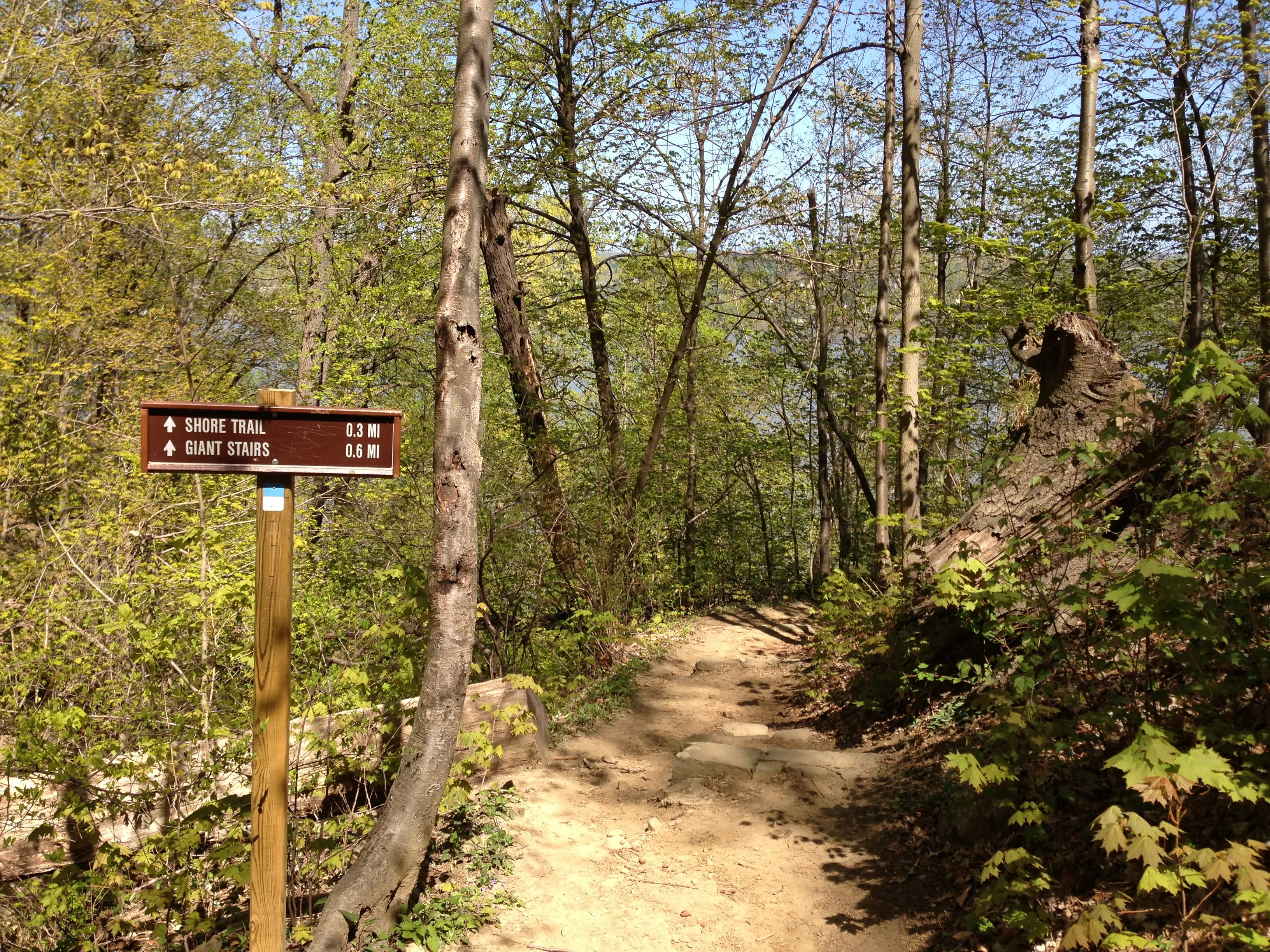 A trail sign points toward the Shore Trail and Giant Stairs in the woods