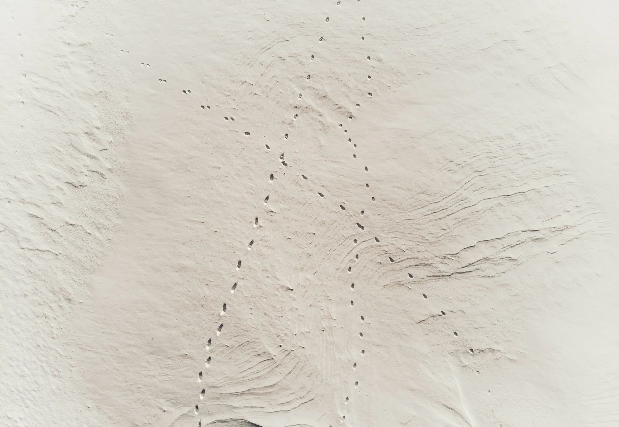 Footprints trailing across sand on a beach