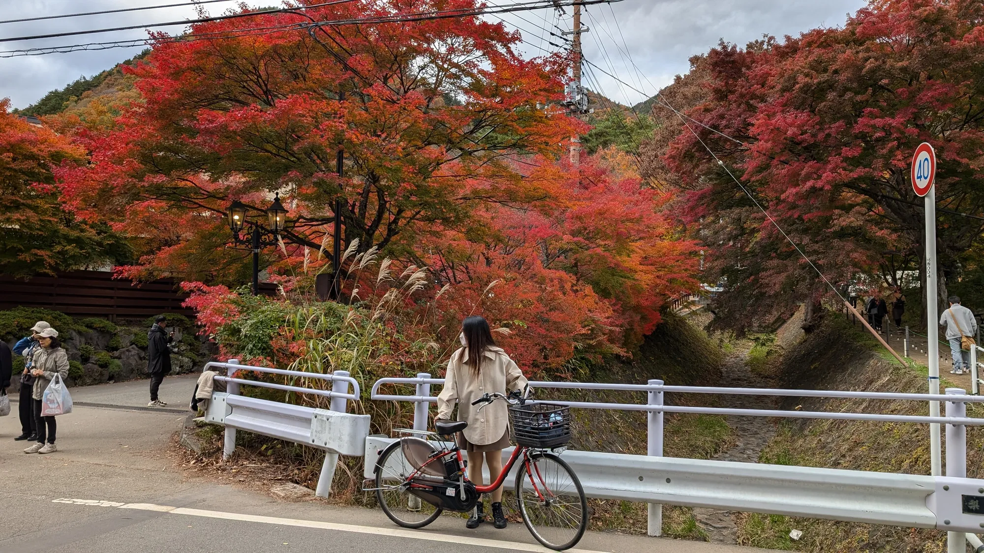 Autumn Highlights from Lake Kawaguchiko