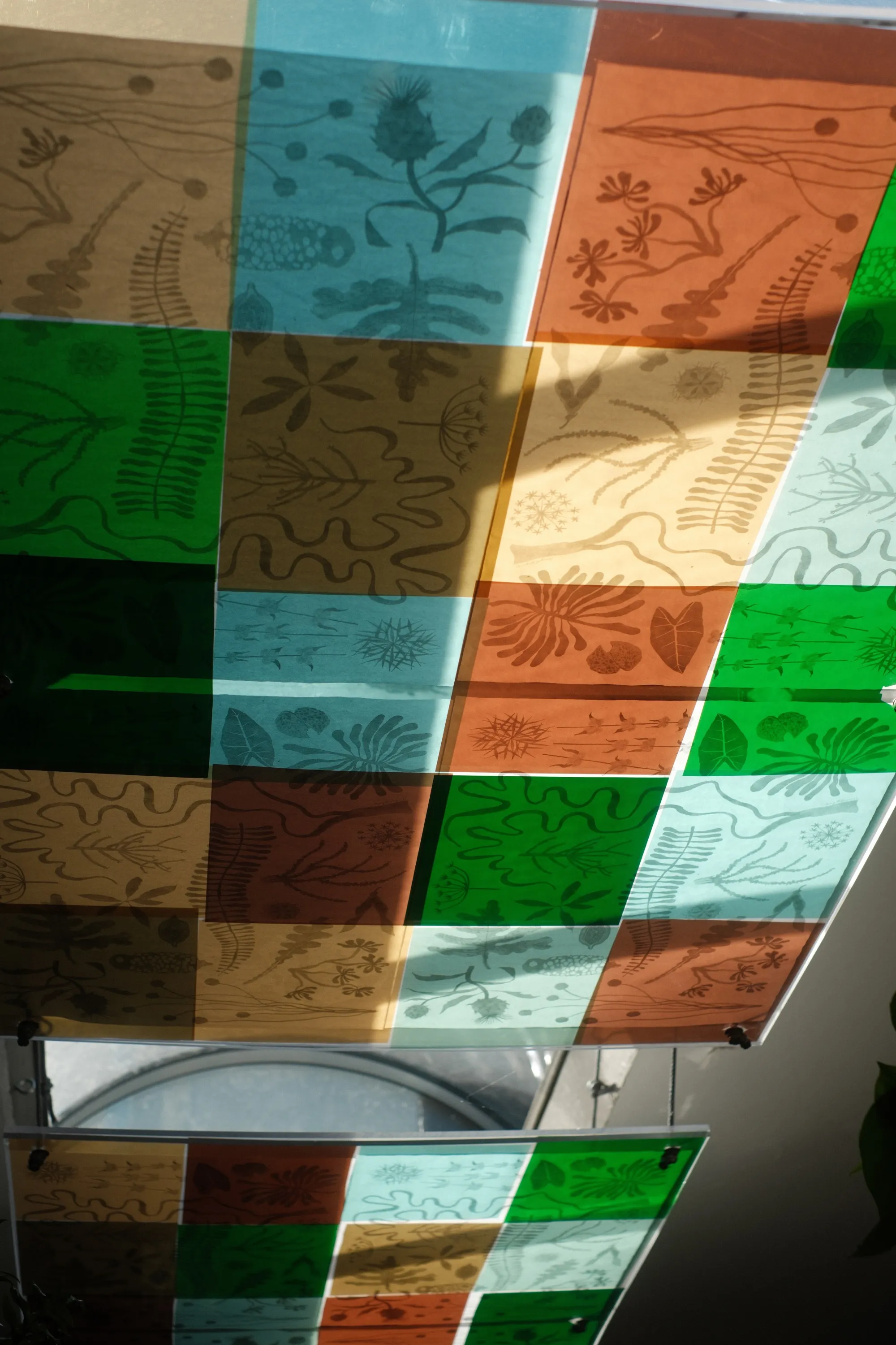 Colored translucent panels with botanical illustrations layered in green, blue, orange, and beige squares